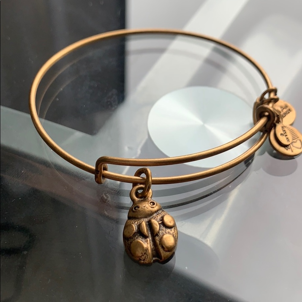 Alex & Ani Ladybug Charm Bangle